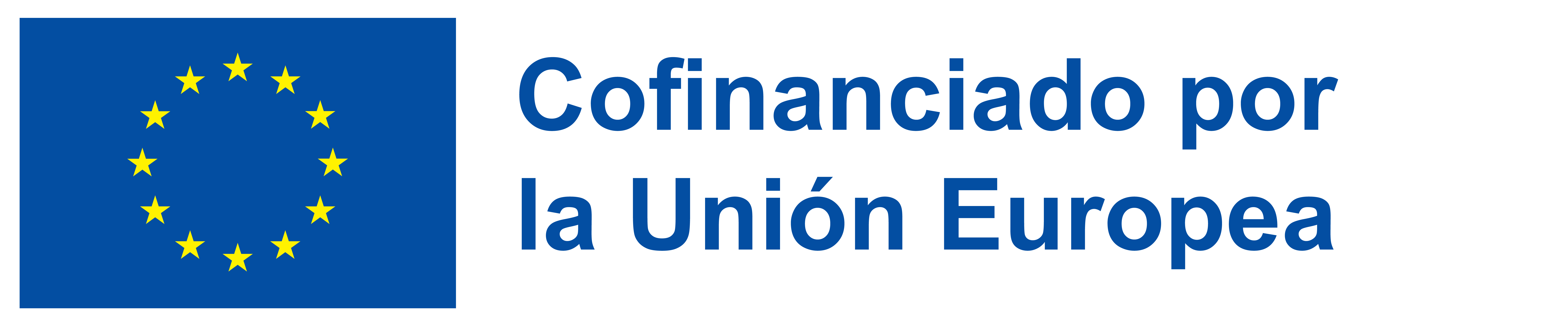 Disclaimer EU logo
